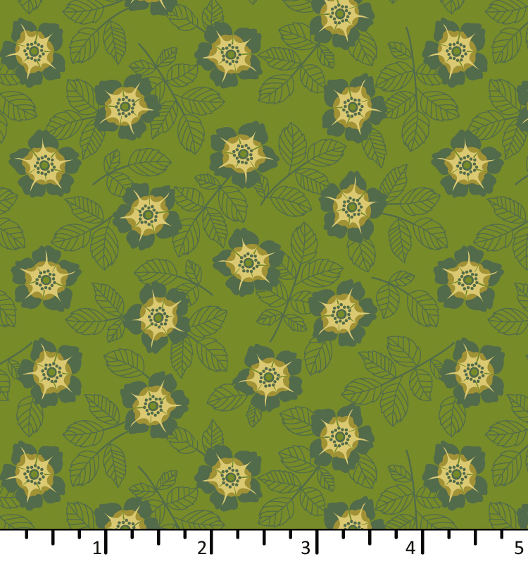 ON 24 01 02 buttercup forest-green